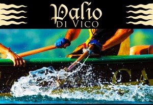 palio Vico 2016