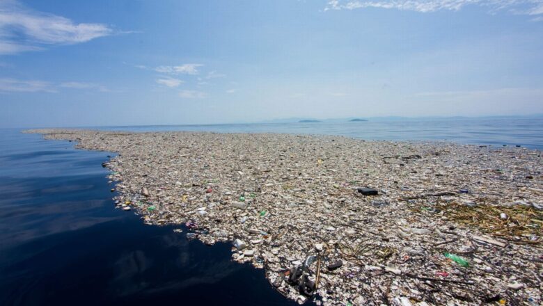 Vuoi rallentare la crisi climatica? Non utilizzare materie plastiche monouso. di Annie Leonard