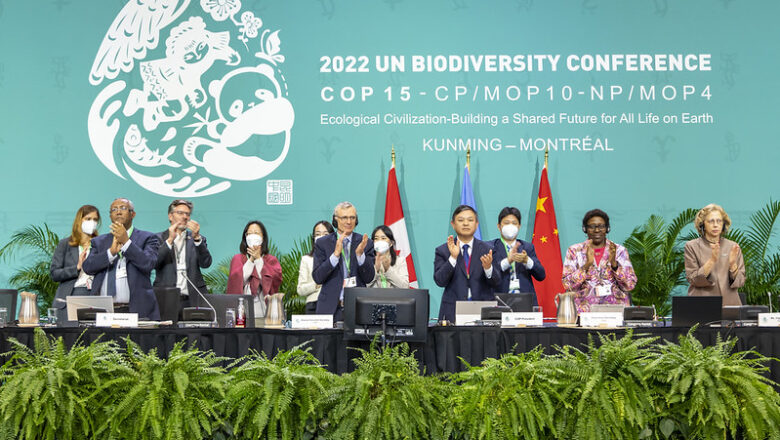 COP15 a Montreal un accordo sulla salvaguardia delle biodoversità